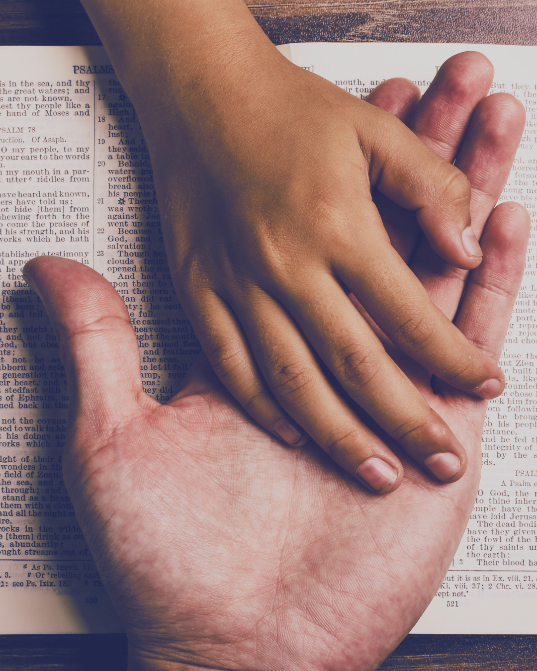 PROMISES
